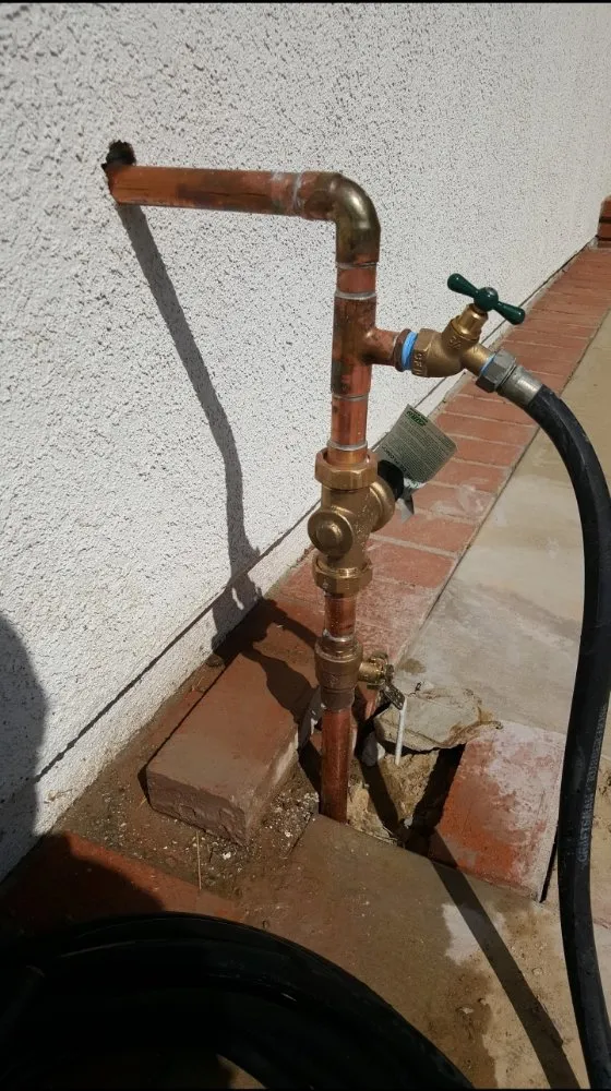 Slide of Rooter Wrangler