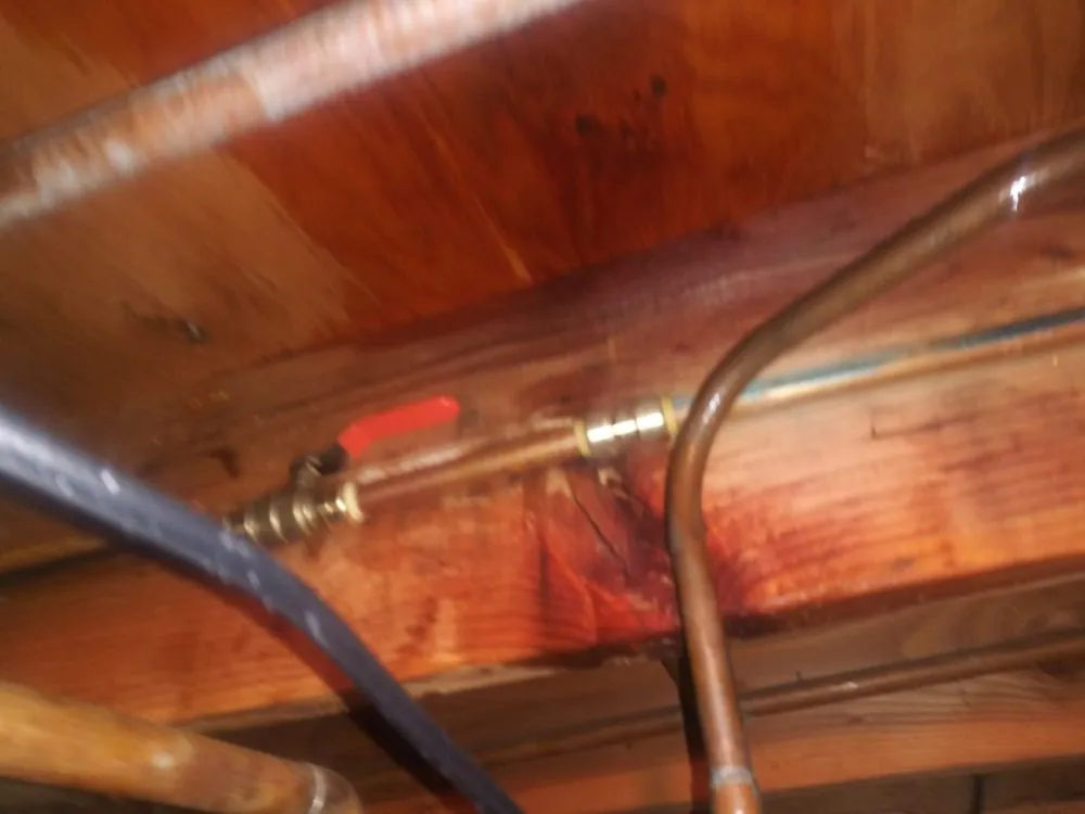 Slide of RooterMan Long Island