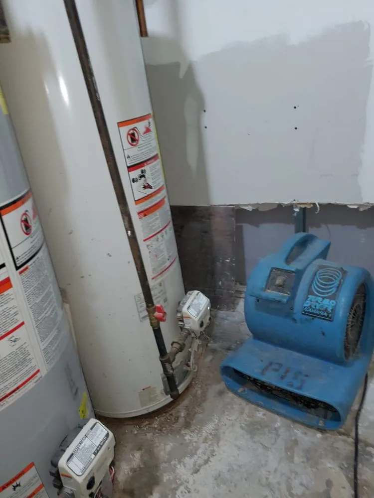 Slide of RooterMan Long Island