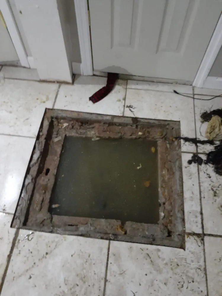 Slide of RooterMan Long Island