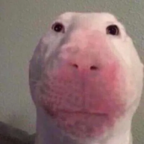 Slide of Rooterman Plumbing & Septic