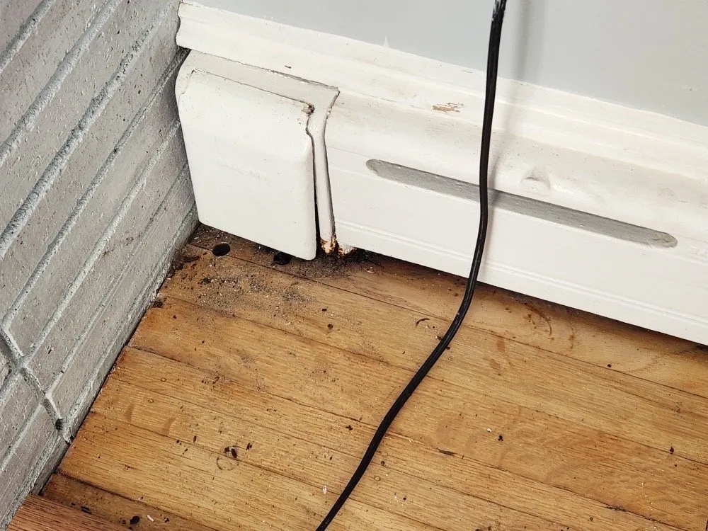 Slide of Rooterman Plumbing