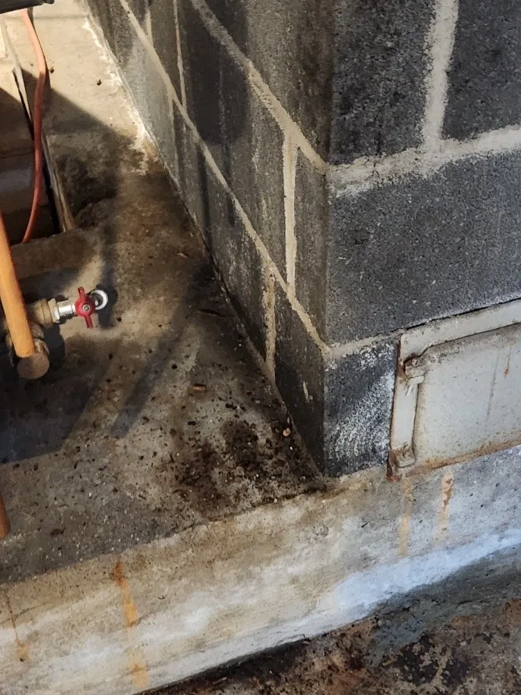 Slide of Rooterman Plumbing