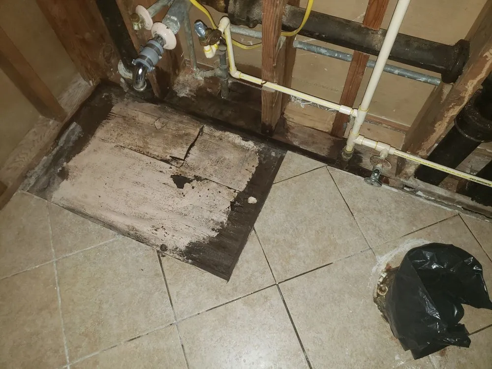 Slide of RooterPLUS!