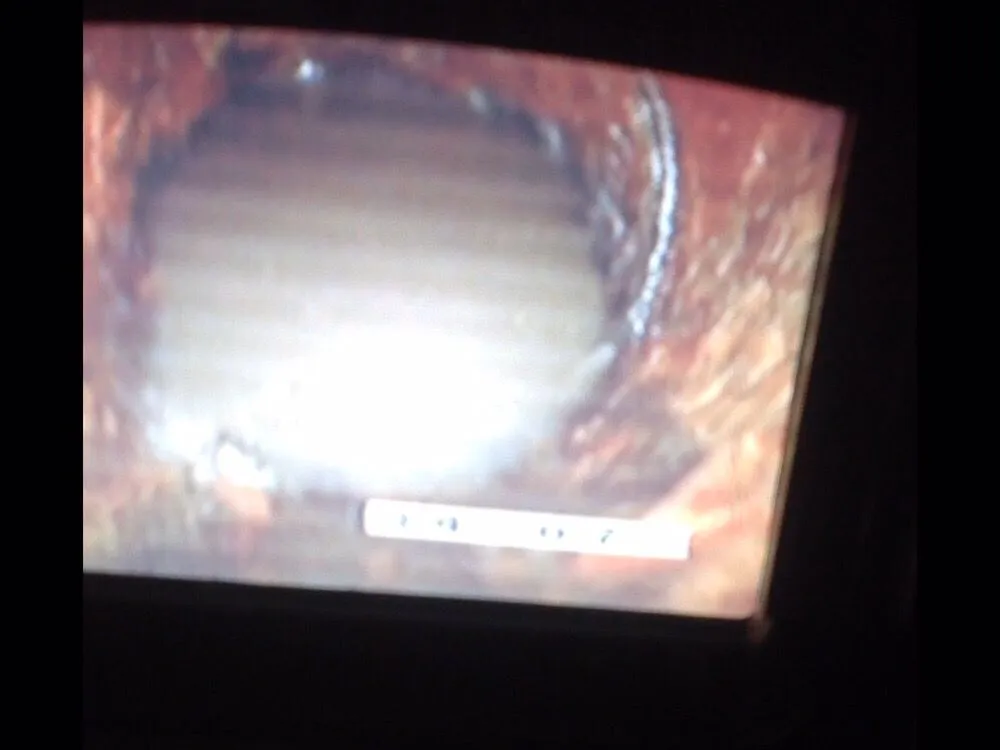 Slide of Rooters & Plumbing On Time