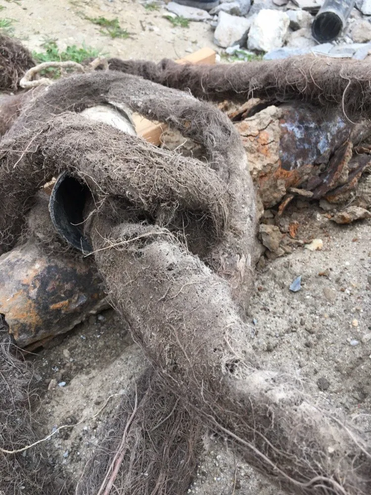 Slide of Rooters & Plumbing On Time