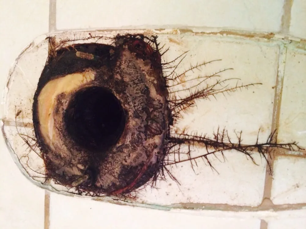 Slide of Rooters & Plumbing On Time