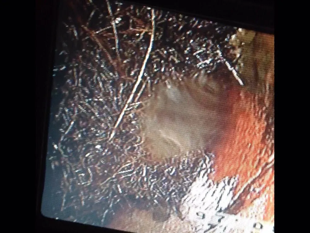 Slide of Rooters & Plumbing On Time