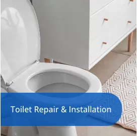 Slide of Rootin Tootin Rooter