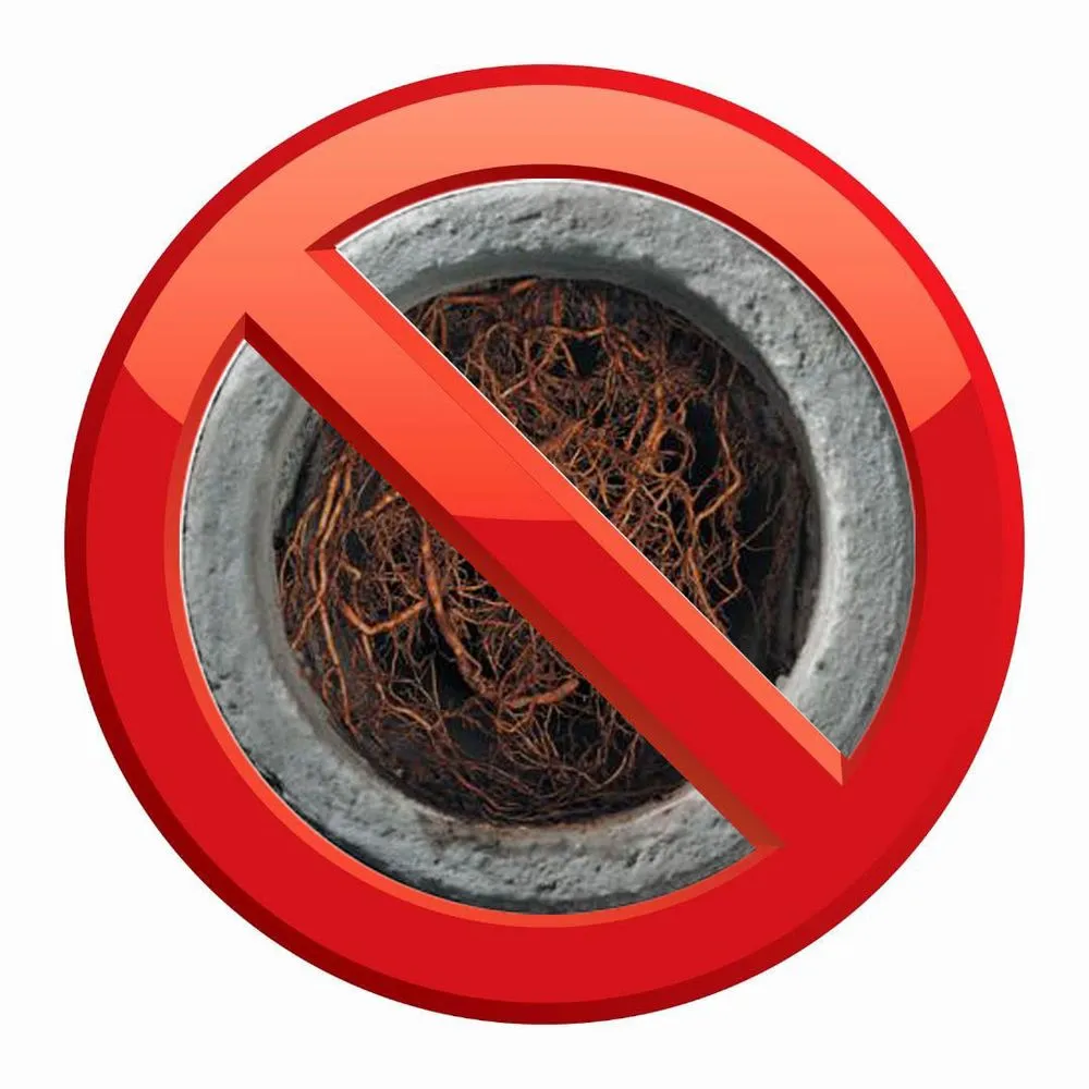 Slide of Roots Be Gone