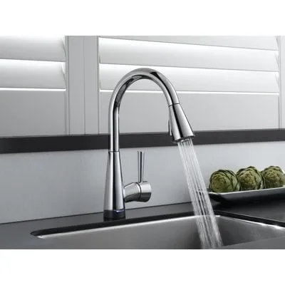 Trusted emergency plumbing service in Oakbrook Terrace, IL - Roots Be Gone