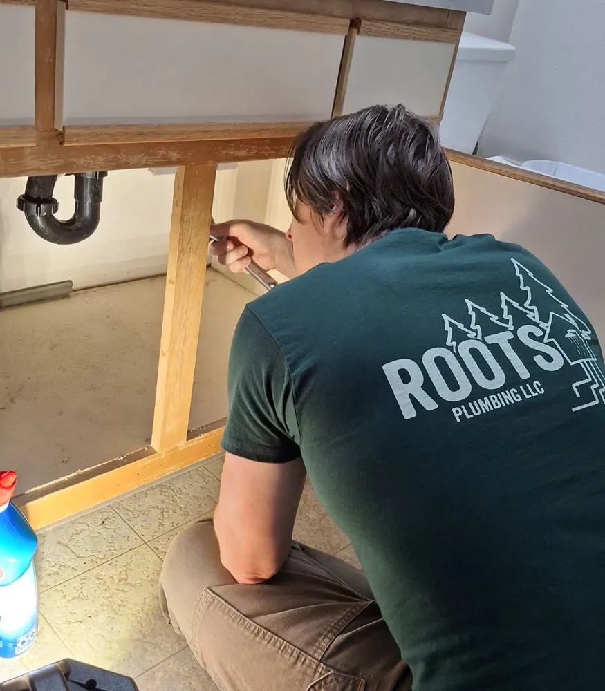 Slide of Roots Plumbing