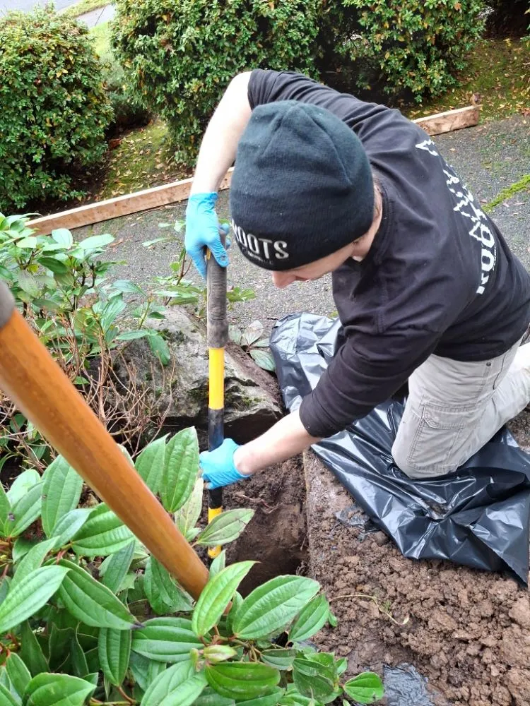 Slide of Roots Plumbing