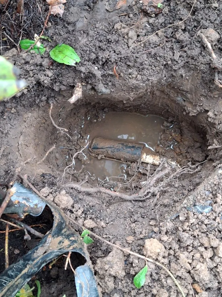 Slide of Roots Plumbing