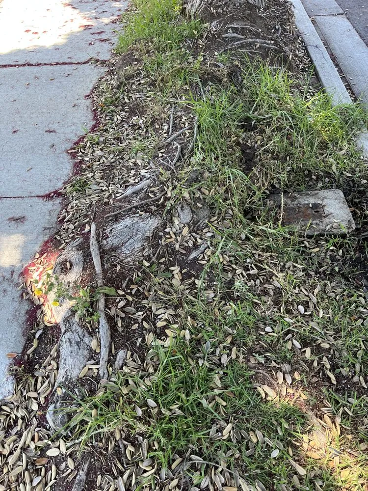 Slide of Roques Plumbing