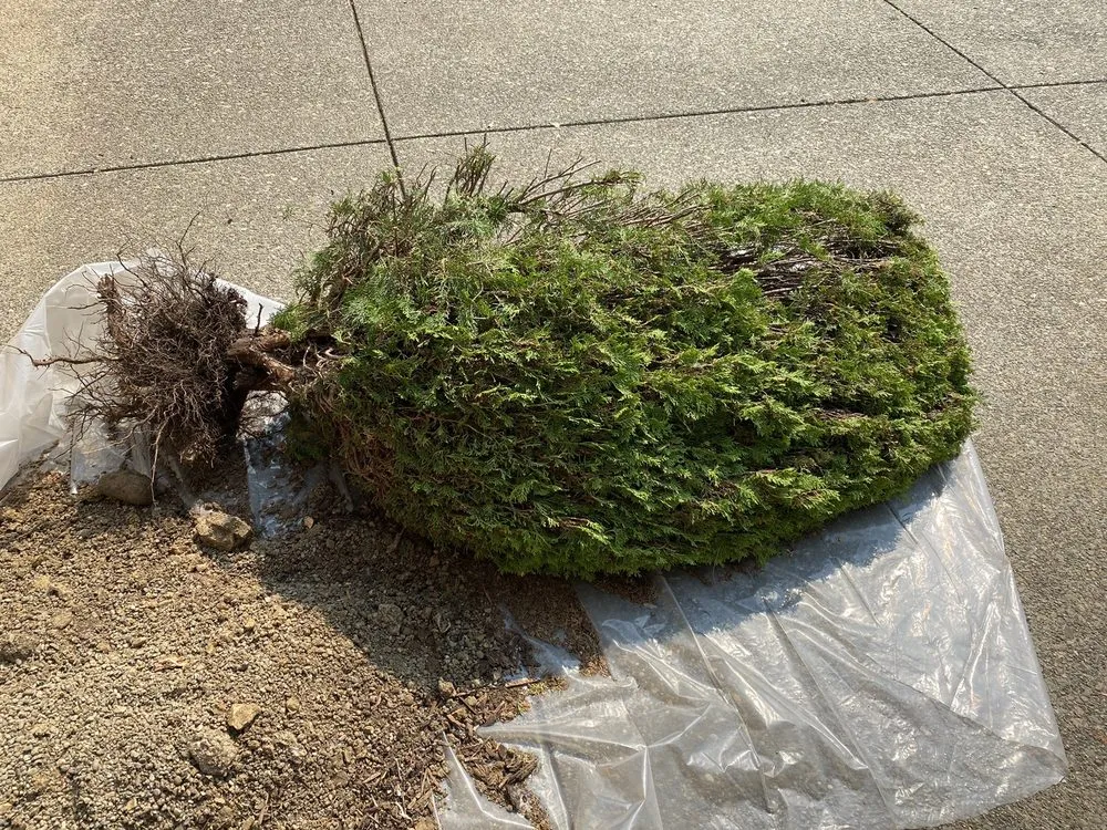 Slide of Roroman Plumbing