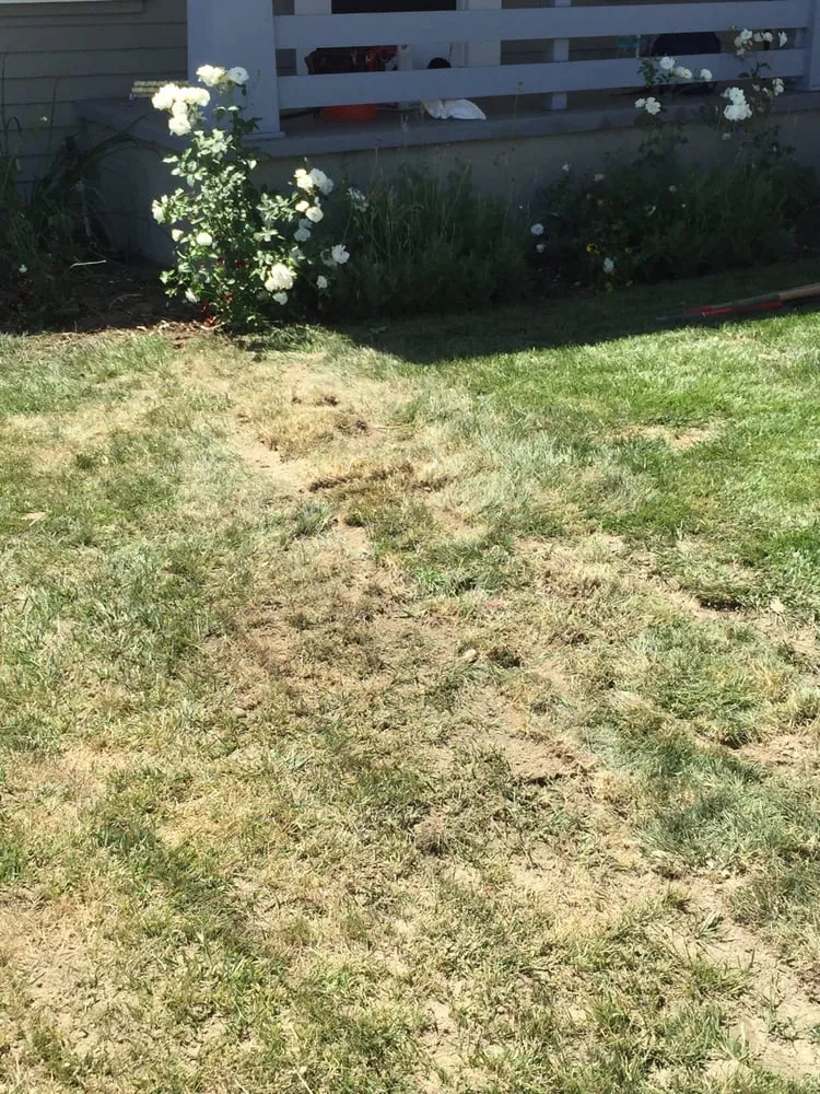 Slide of Rosales Plumbing & Rooter