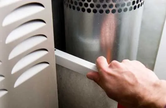 Slide of Roscoe Brown