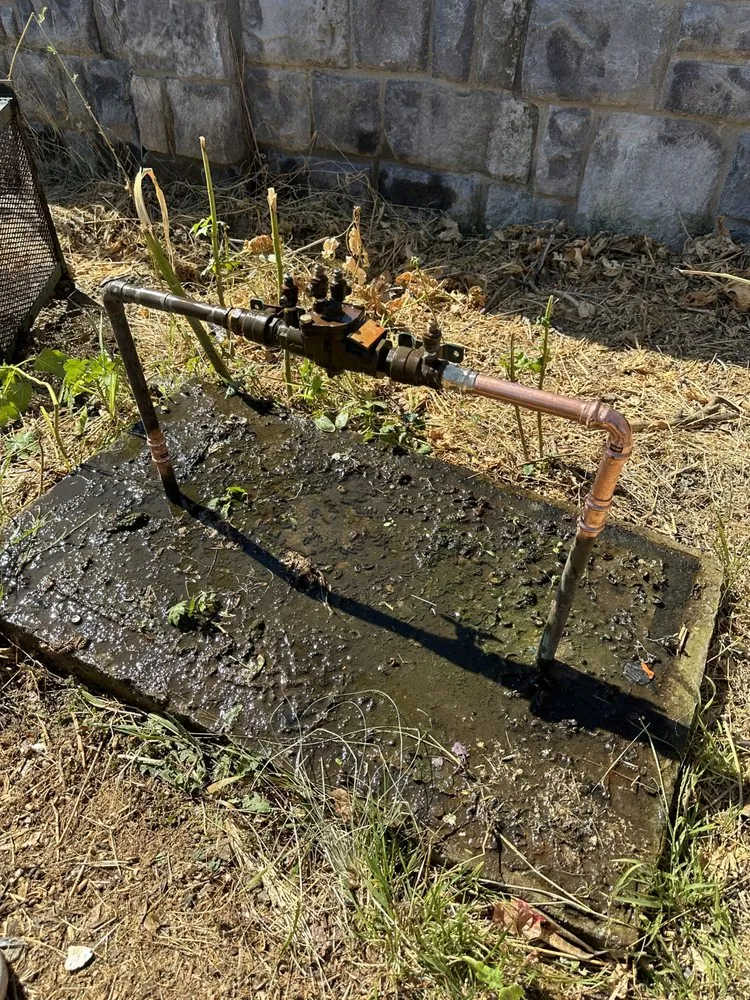 Slide of Rose Backflow