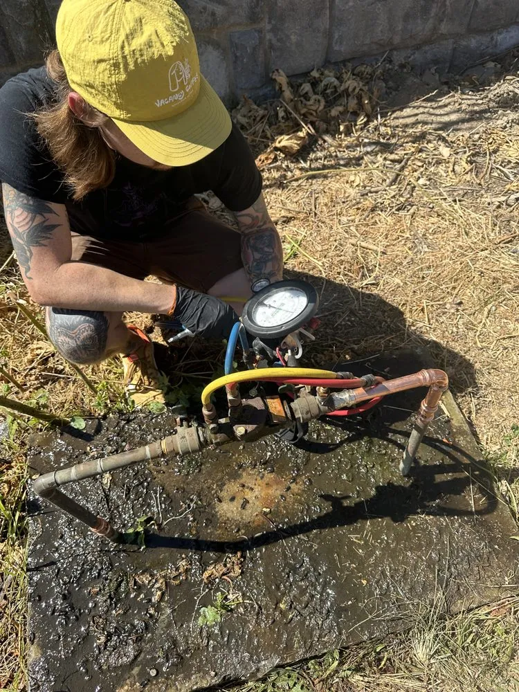 Slide of Rose Backflow