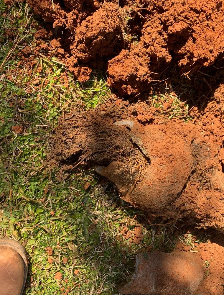 Slide of Rose Plumbing & Septic Service