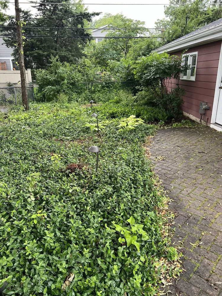 Professional drain cleaning in Elmhurst, IL by Ross & Jack's Landscaping