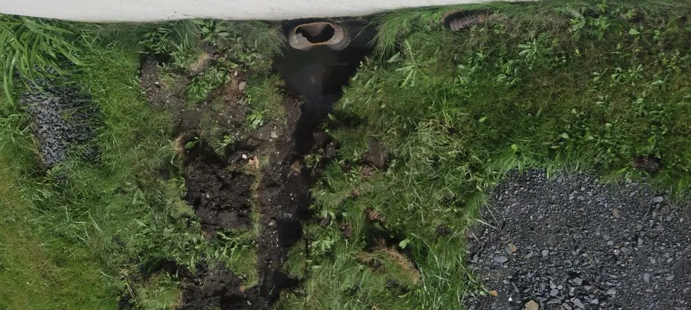 Slide of Rossi Rooter