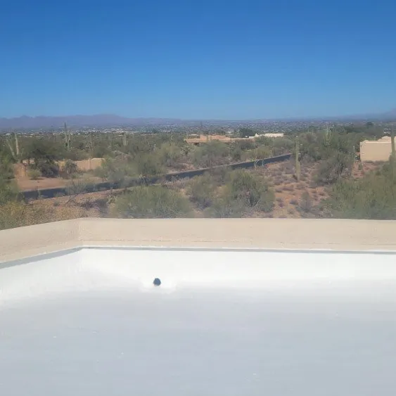 Slide of Ross's Maintenance