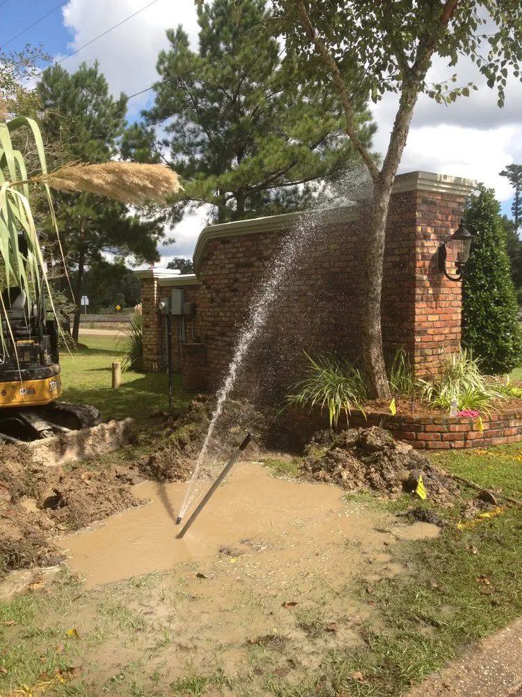 Slide of Roto-Rooter