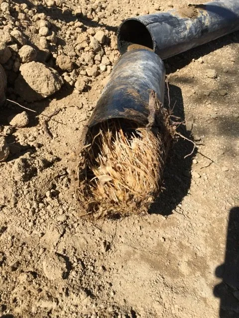 Slide of Roto-Rooter