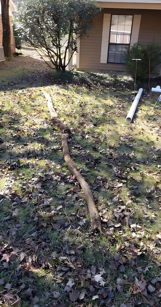 Slide of Roto-Rooter