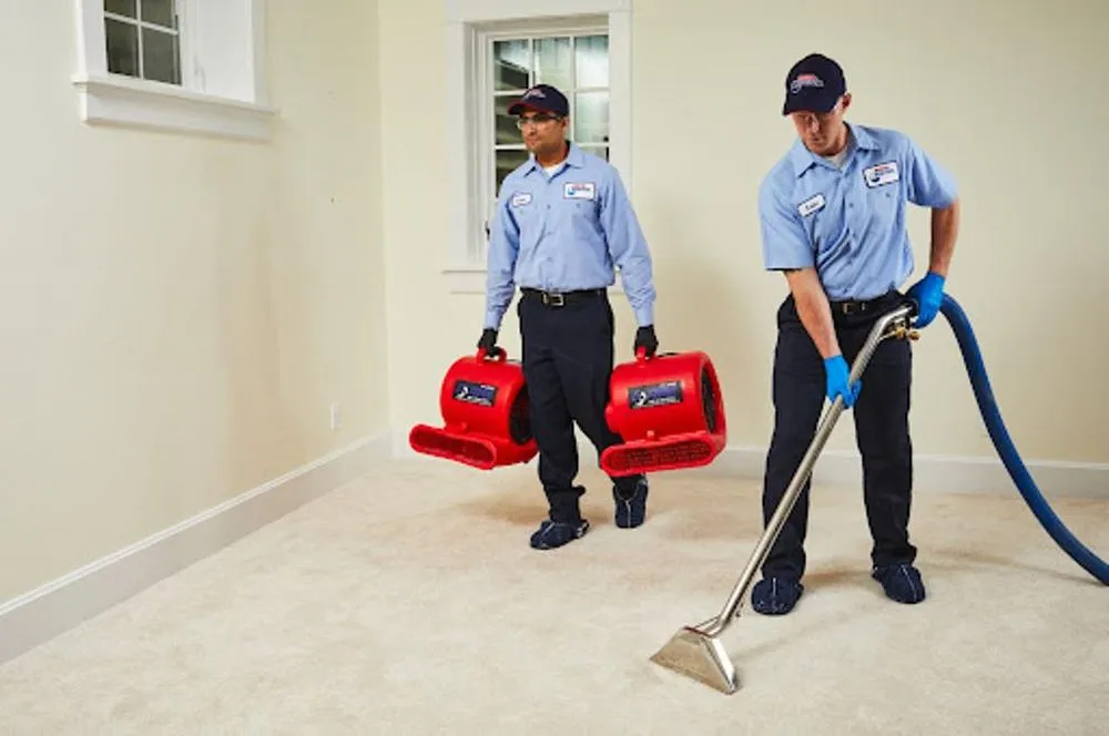 Slide of Roto-Rooter