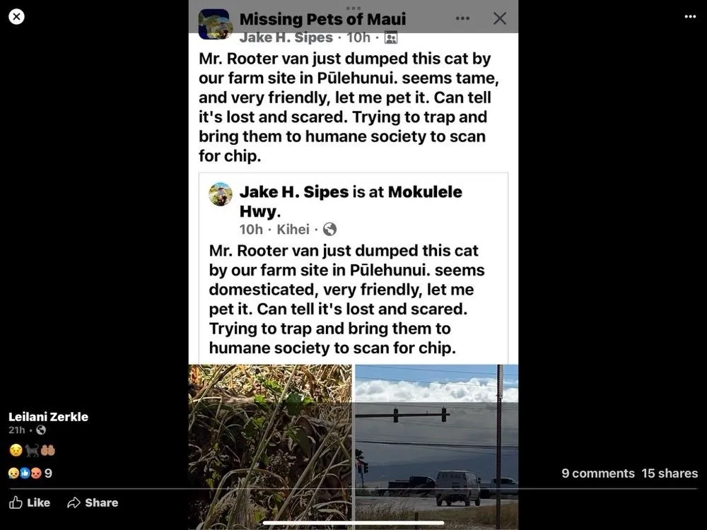 Slide of Roto-Rooter