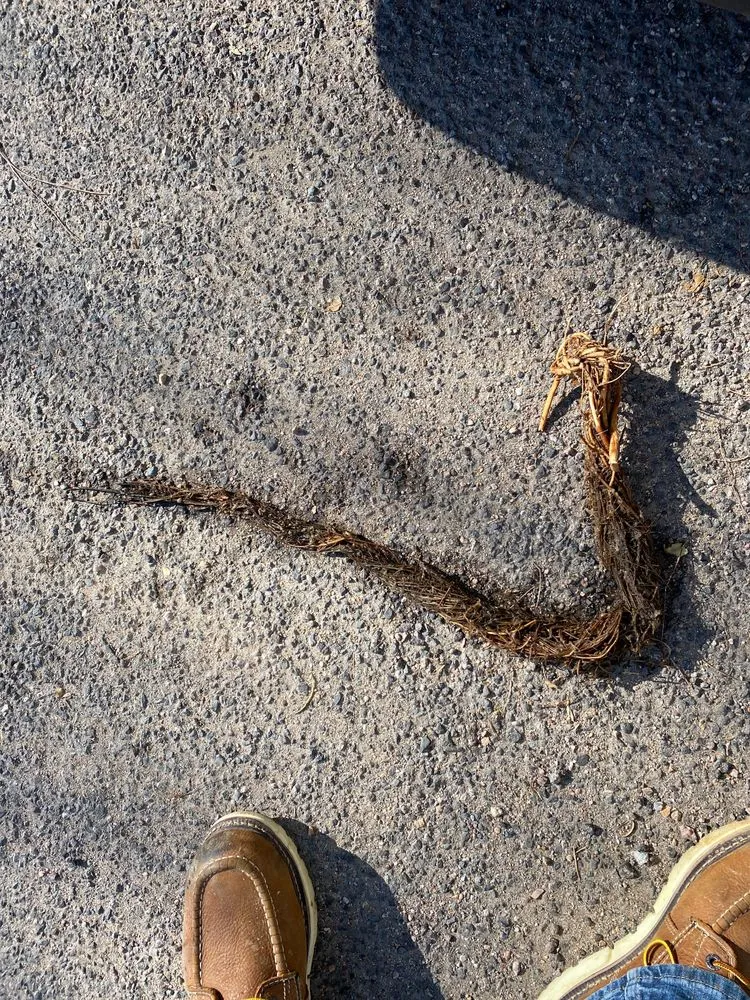 Slide of Roto-Rooter