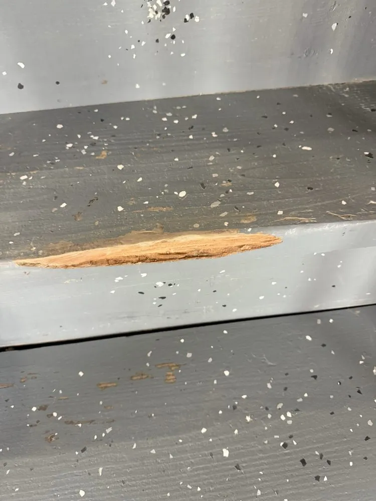 Slide of Roto-Rooter