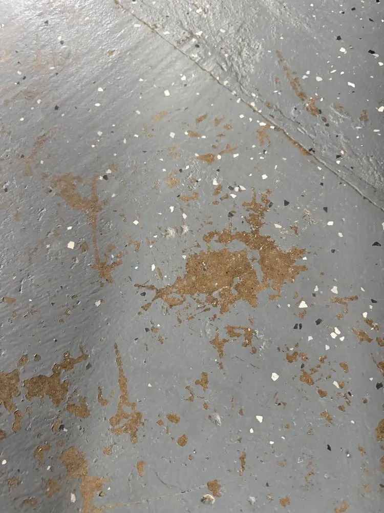 Slide of Roto-Rooter