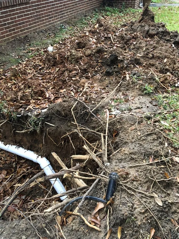 Slide of Roto Rooter