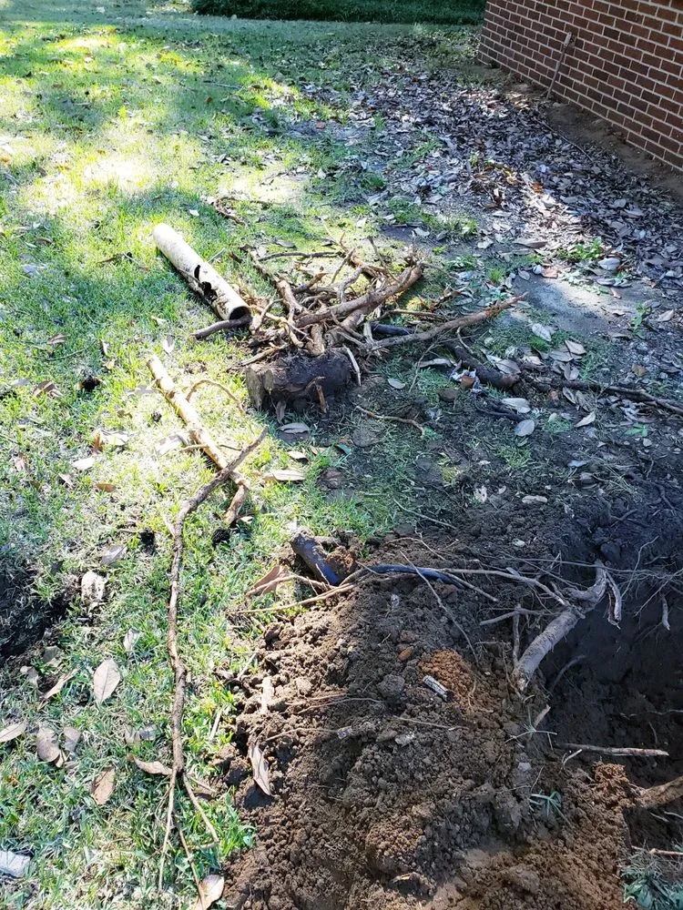 Slide of Roto Rooter