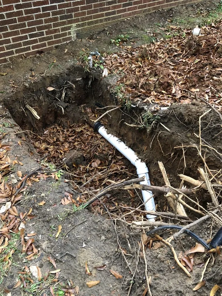 Slide of Roto Rooter