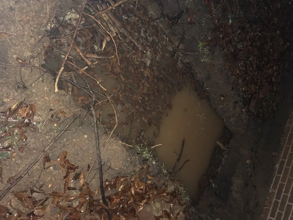 Slide of Roto Rooter