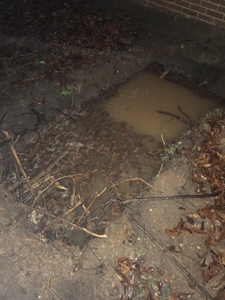 Slide of Roto Rooter