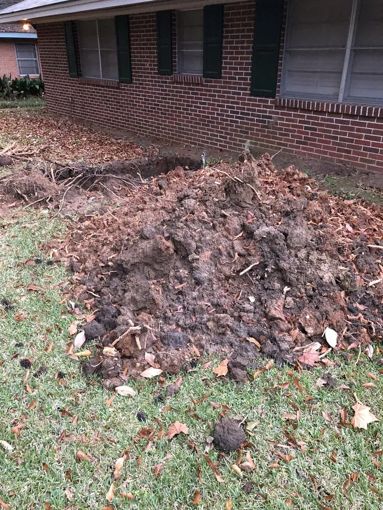 Slide of Roto Rooter