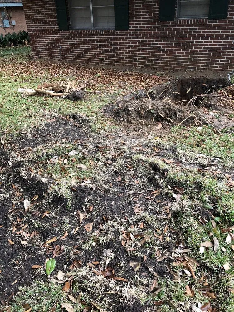 Slide of Roto Rooter