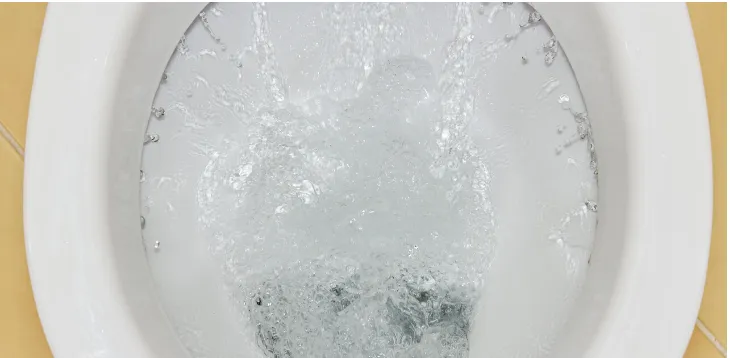 Slide of Roto Rooter