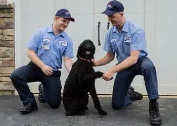 Slide of Roto-Rooter