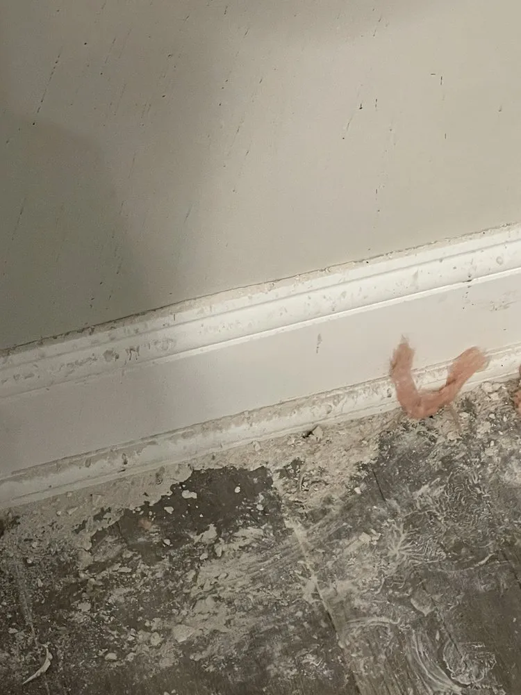 Slide of Roto Rooter