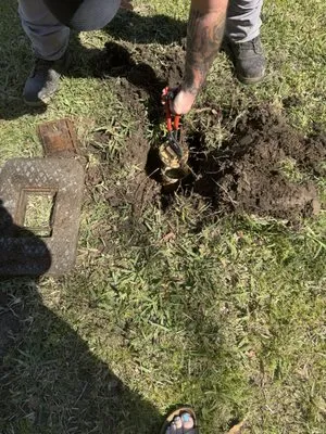 Roto-Rooter Plumbing & Drain Service