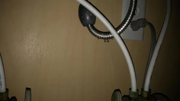 Roto-Rooter Plumbing & Drain Service Logo