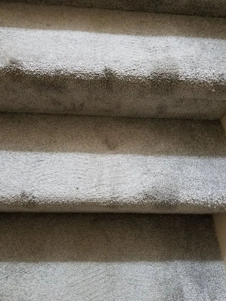 Slide of Roto-Rooter Plumbing & Drain Service