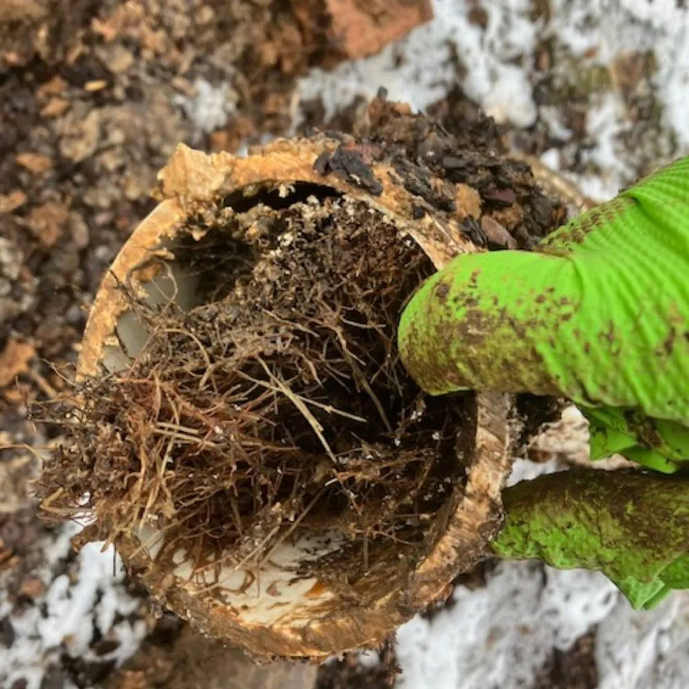 Affordable pipe repair in Myrtle Beach, SC by Roto-Rooter Plumbing & Drain Service